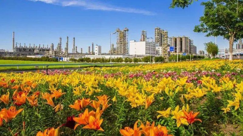 高纯度有机化工原料检测：方法与关键点解析